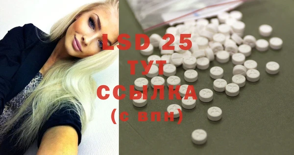 индика Абаза