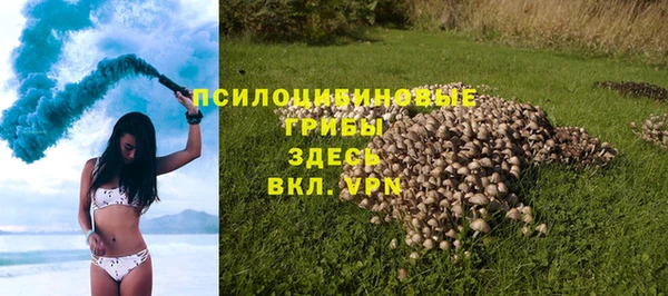 гидра Абинск