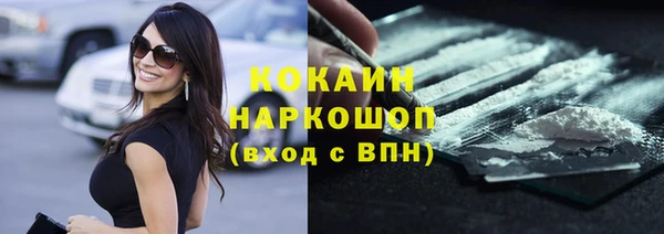 индика Абаза