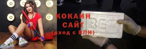 индика Абаза