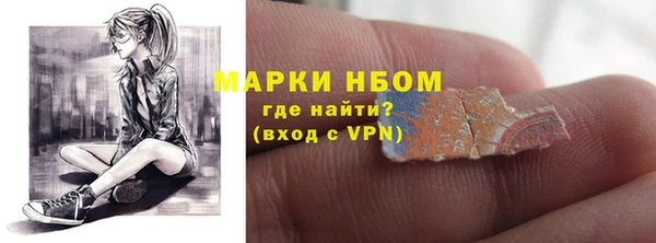 индика Абаза