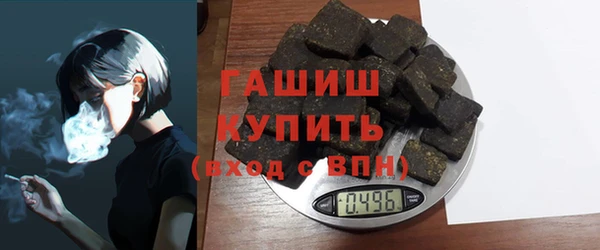 индика Абаза