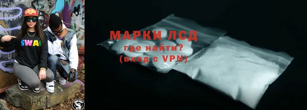 индика Абаза