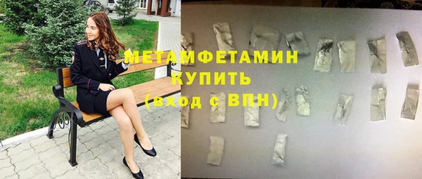 индика Абаза