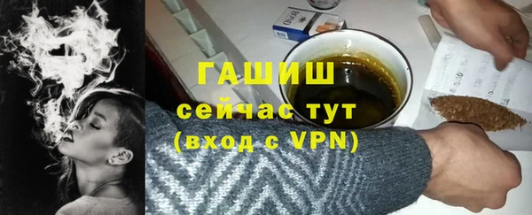 индика Абаза