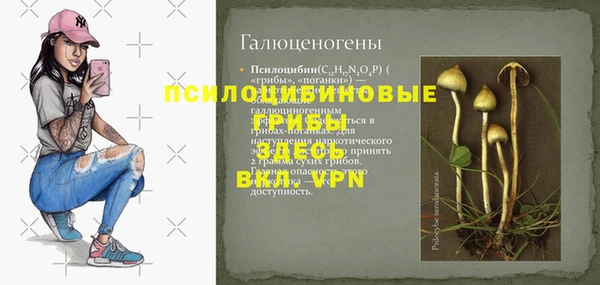 гидра Абинск