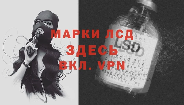 индика Абаза