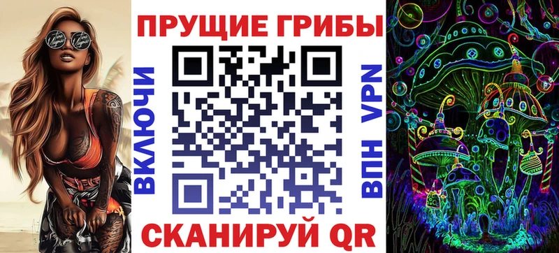 купить  сайты  Щучье  Псилоцибиновые грибы Cubensis 